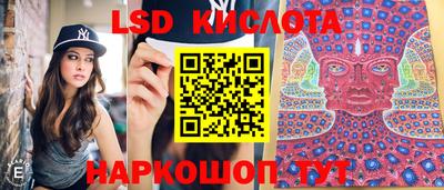 PSILOCYBIN Будённовск