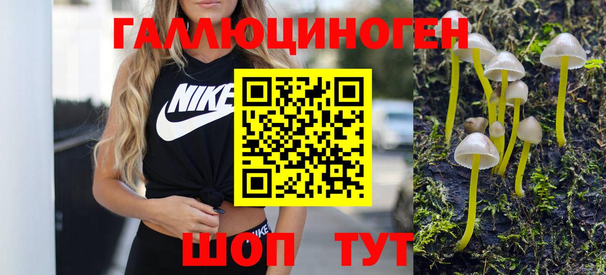 Галлюциногенные грибы мицелий Ревда